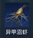 异甲沼虾