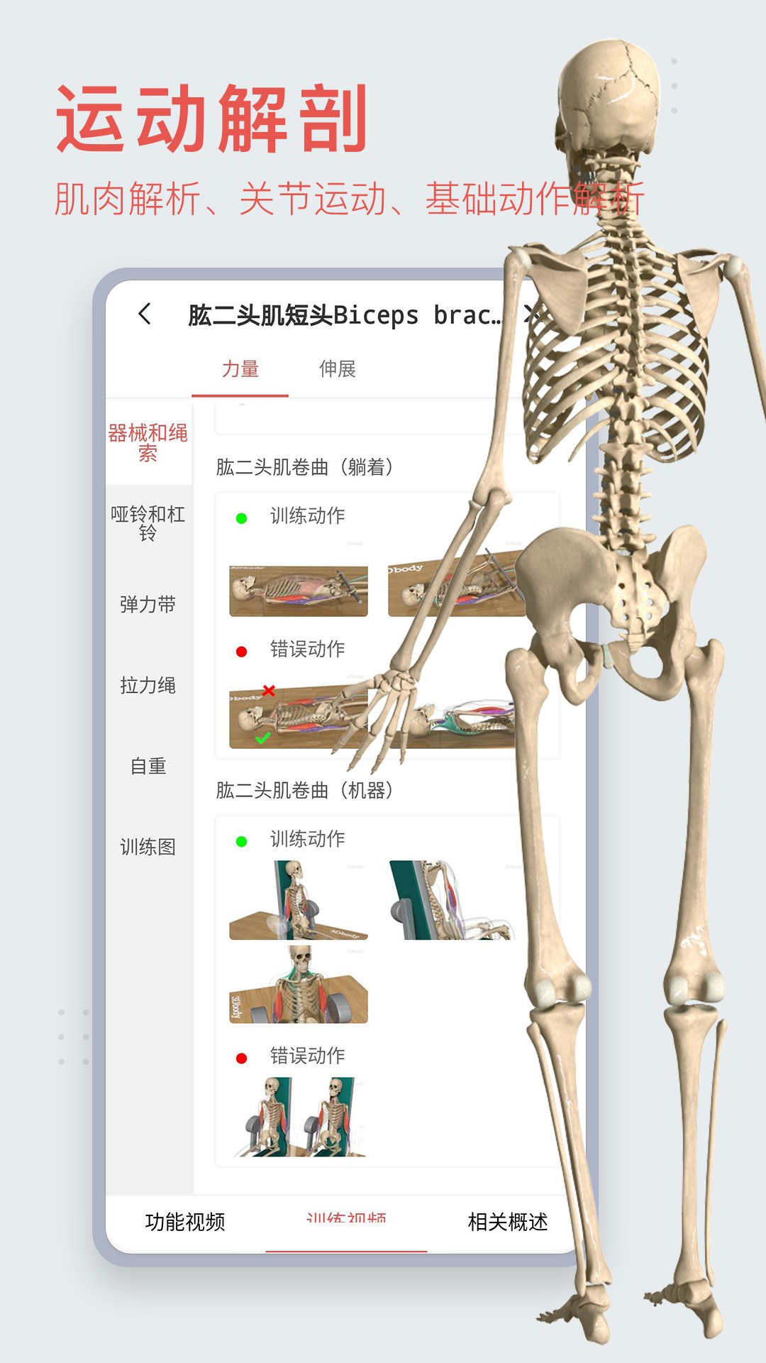 3DBody解剖截图1